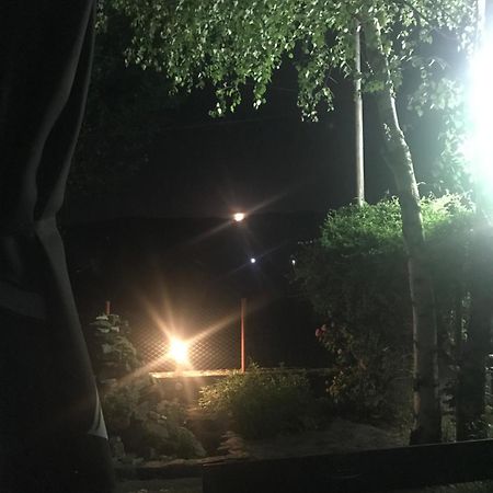 Vila Zia Ξενοδοχείο Corbeni Εξωτερικό φωτογραφία