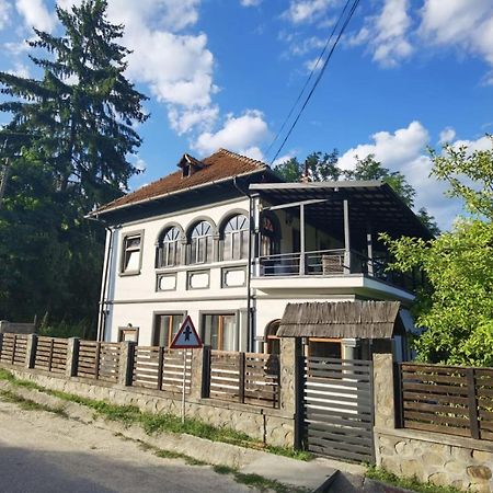 Vila Zia Ξενοδοχείο Corbeni Εξωτερικό φωτογραφία