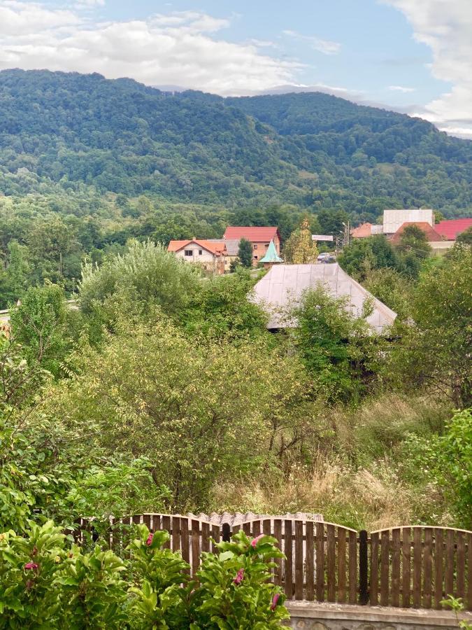 Vila Zia Ξενοδοχείο Corbeni Εξωτερικό φωτογραφία