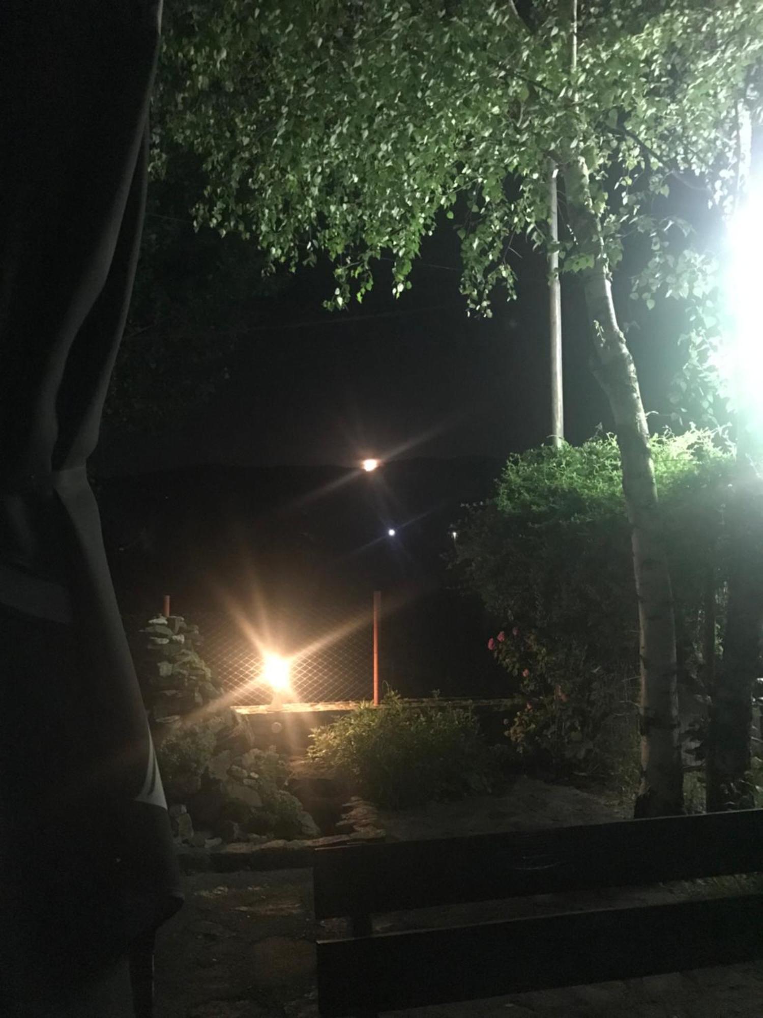 Vila Zia Ξενοδοχείο Corbeni Εξωτερικό φωτογραφία