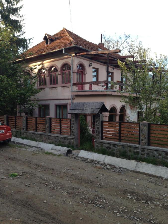 Vila Zia Ξενοδοχείο Corbeni Εξωτερικό φωτογραφία