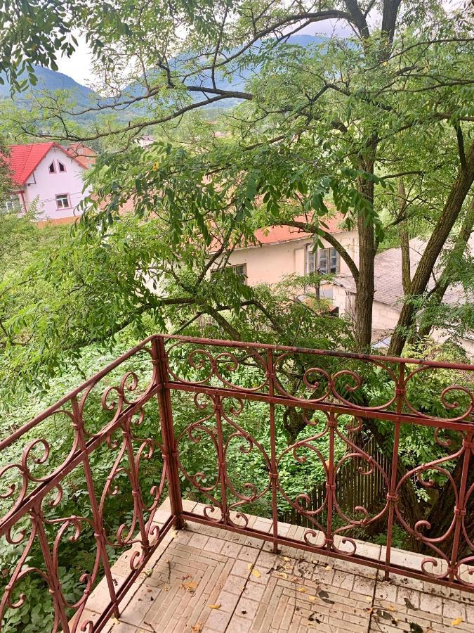 Vila Zia Ξενοδοχείο Corbeni Εξωτερικό φωτογραφία