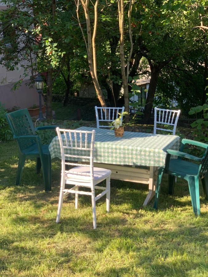 Vila Zia Ξενοδοχείο Corbeni Εξωτερικό φωτογραφία