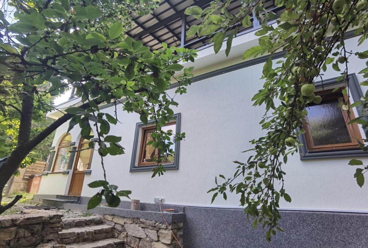 Vila Zia Ξενοδοχείο Corbeni Εξωτερικό φωτογραφία