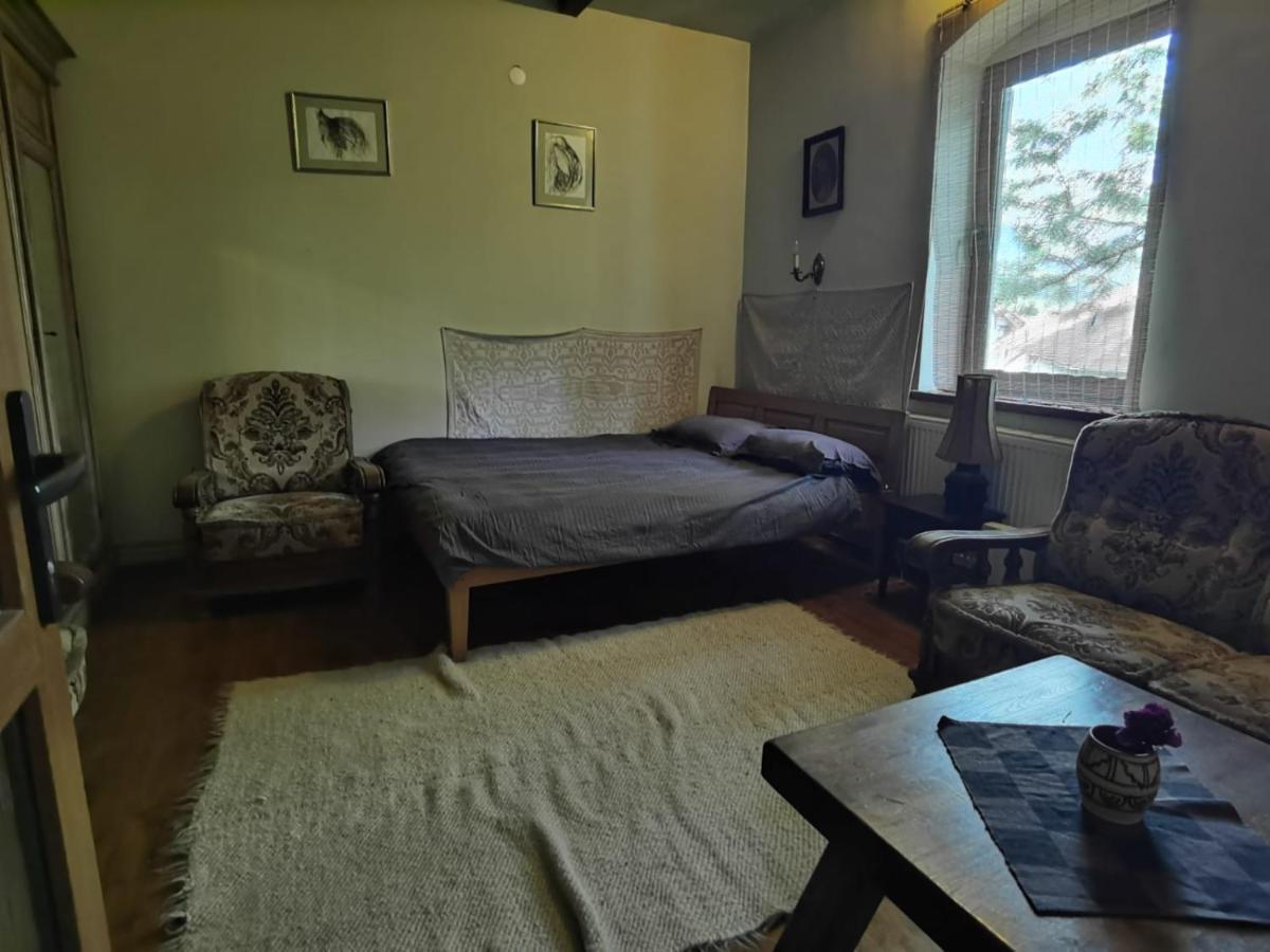 Vila Zia Ξενοδοχείο Corbeni Εξωτερικό φωτογραφία